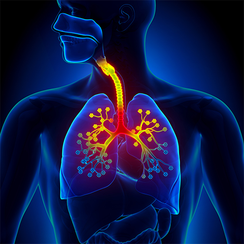 Pulmonology